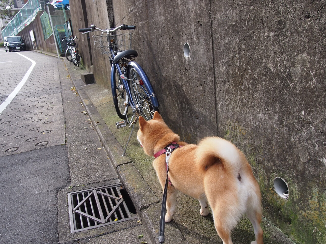 爱游戏官方-_模拟对抗赛：虚拟与真实结合的新型赛事体验_，对抗模拟器