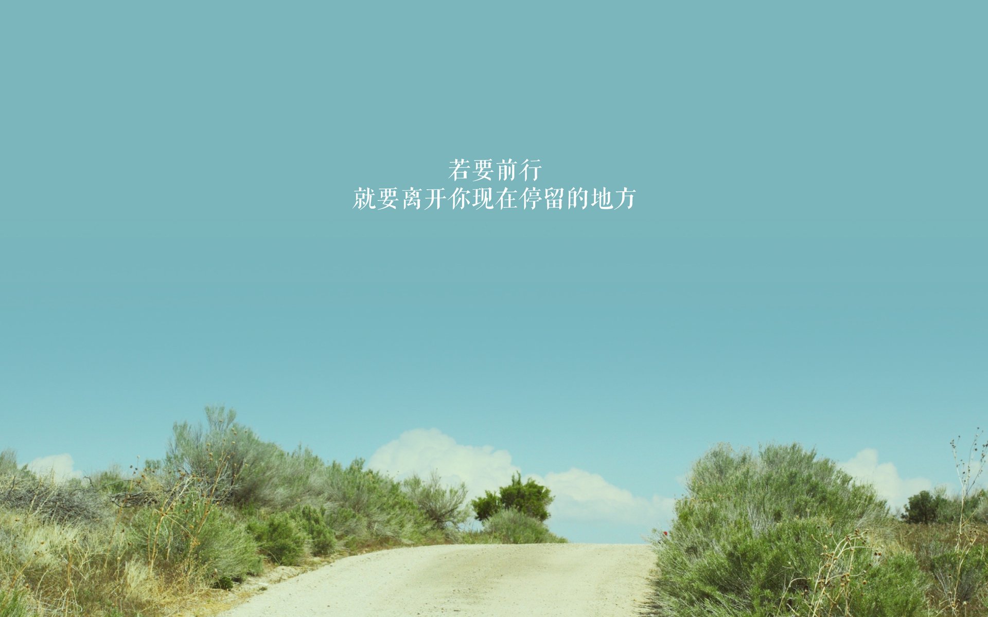 “法甲激烈对抗，多队竞争冠军席位”，法甲夺冠排行