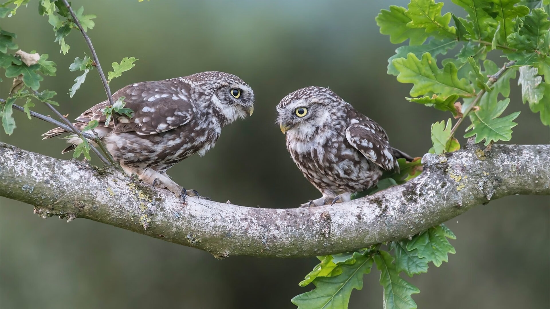 AYX GAME-【夺冠秘诀】世界冠军谈比赛中最重要的策略，世界冠军是如何炼成的