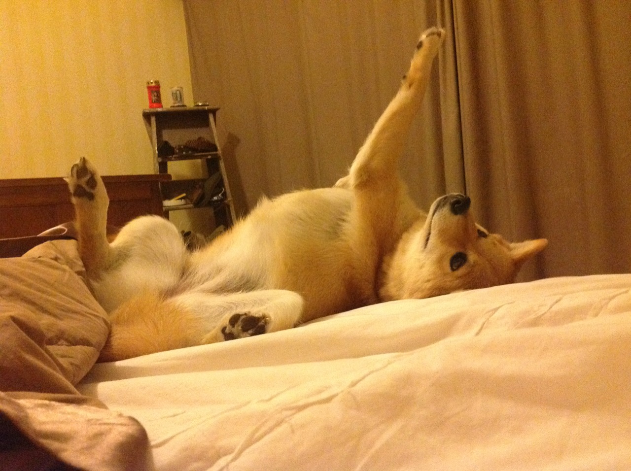 爱游戏体育（AYX）官方APP下载-【巅峰对决】丁俊晖VS奥沙利文：经典瞬间回顾，丁俊晖vs 奥沙利文