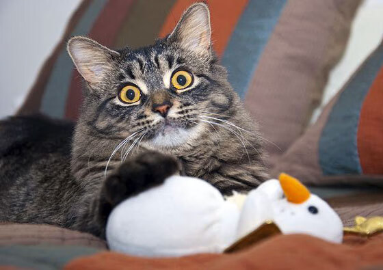 高原雪山徒步,深入冰雪世界的极限探险,雪山 徒步