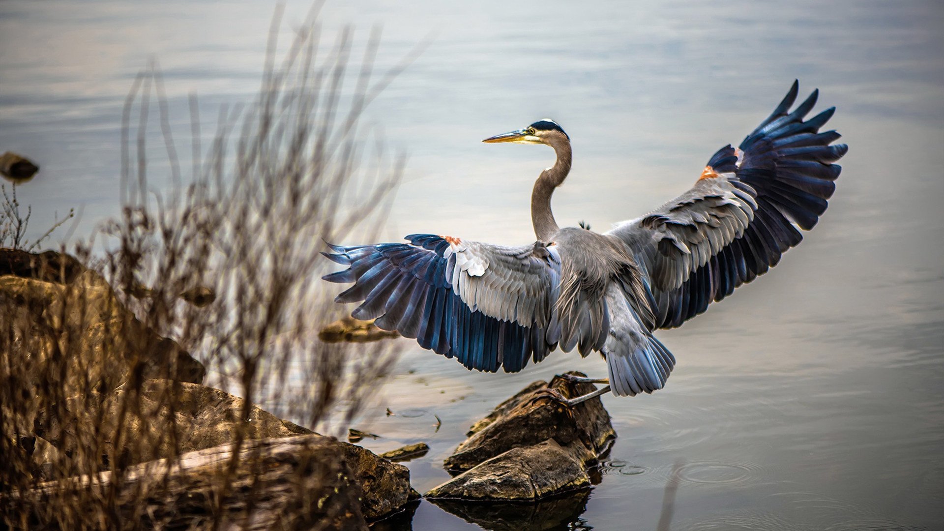 爱游戏体育平台-中国足协与欧洲俱乐部合作，提升青训水平，中国足协加入欧足联