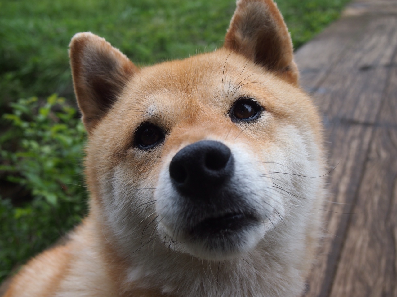 勇士客场逆袭雷霆,库里关键抢断+准绝杀,勇士胜雷霆开赛四连胜库里23分