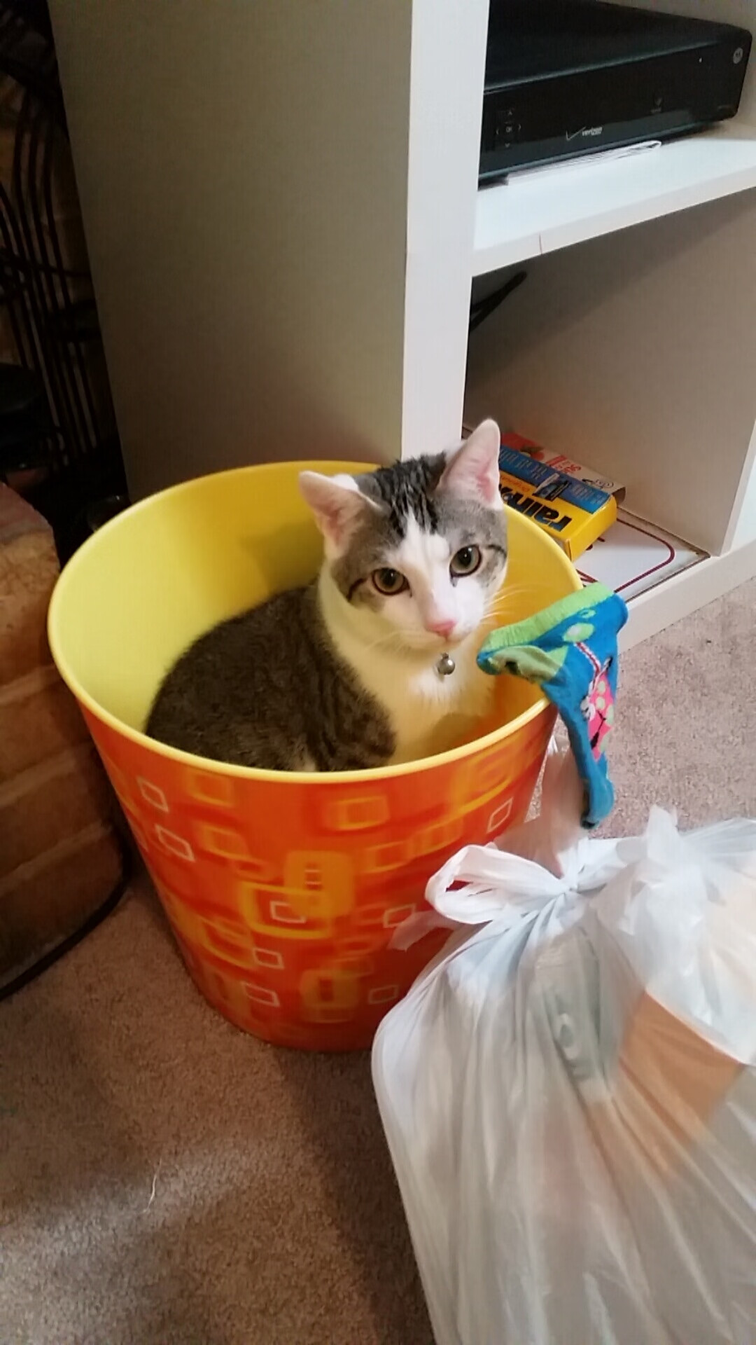 AYX体育官网-普拉提课程在企业员工健康管理中应用广泛，普拉提培训的课程介绍