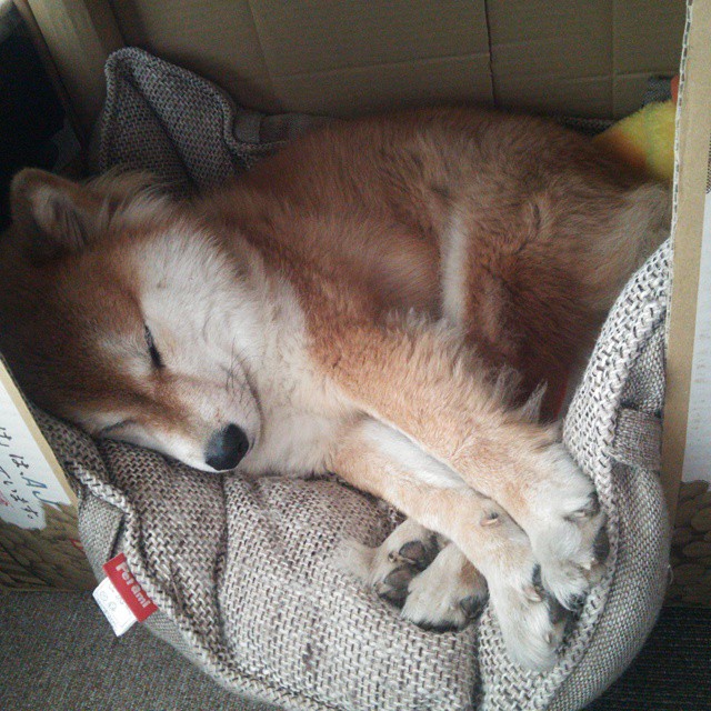 电竞电竞游戏版本更新对职业比赛规则及战术体系影响,电子竞技版本变化太频繁