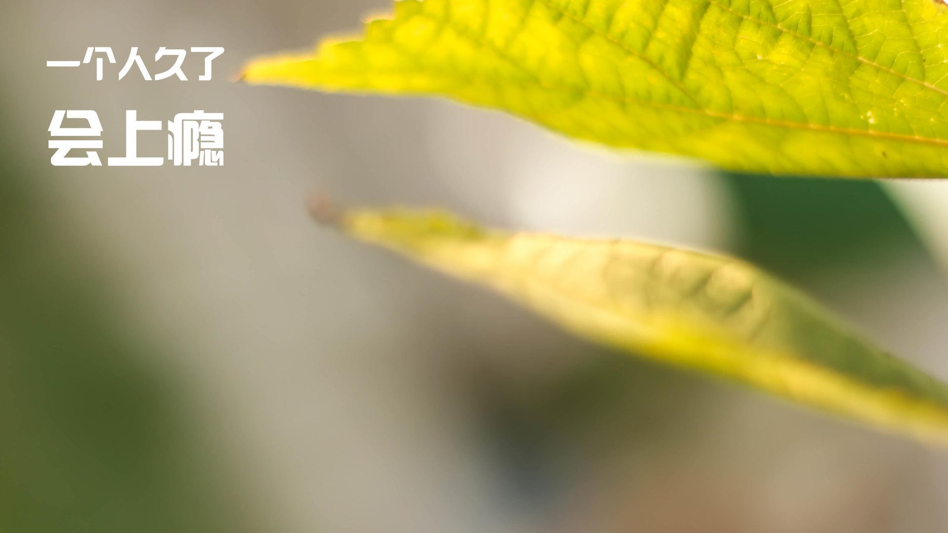 爱游戏娱乐平台-阿尔阿赫利进攻端效率提升，阿尔阿赫利亚冠