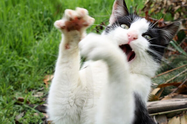 室外足球：城市中的绿洲与运动新地标，室外足球场图片