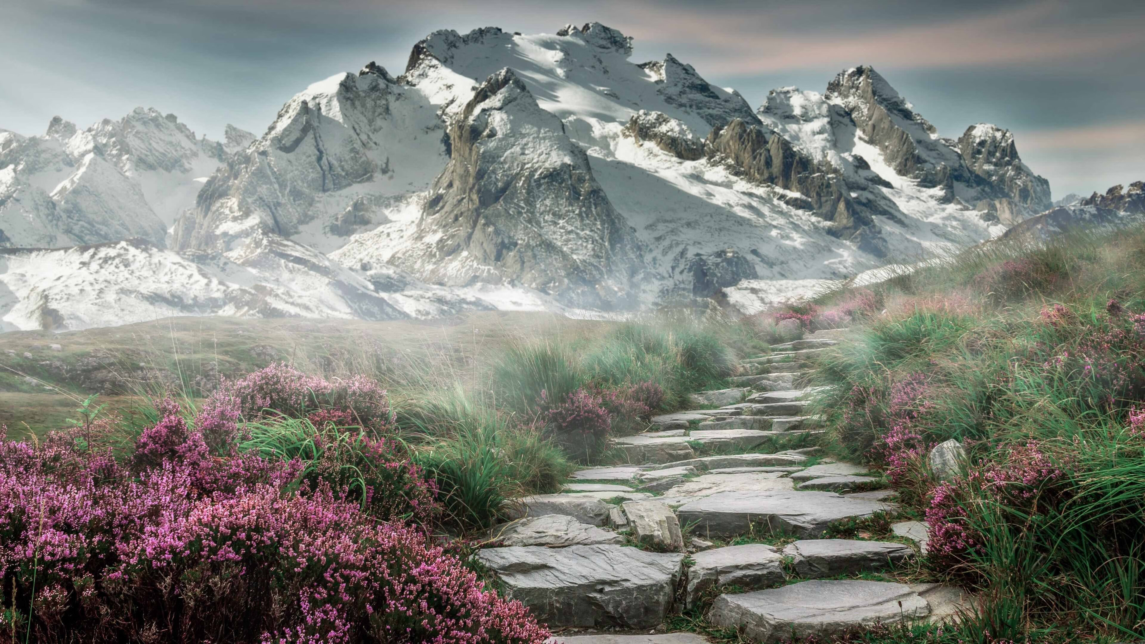 球迷文化创新:线上线下结合的新潮流,球迷网络