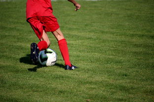 爱游戏体育-篮球运动员心理韧性培养及心理干预体系，篮球运动员的心理训练