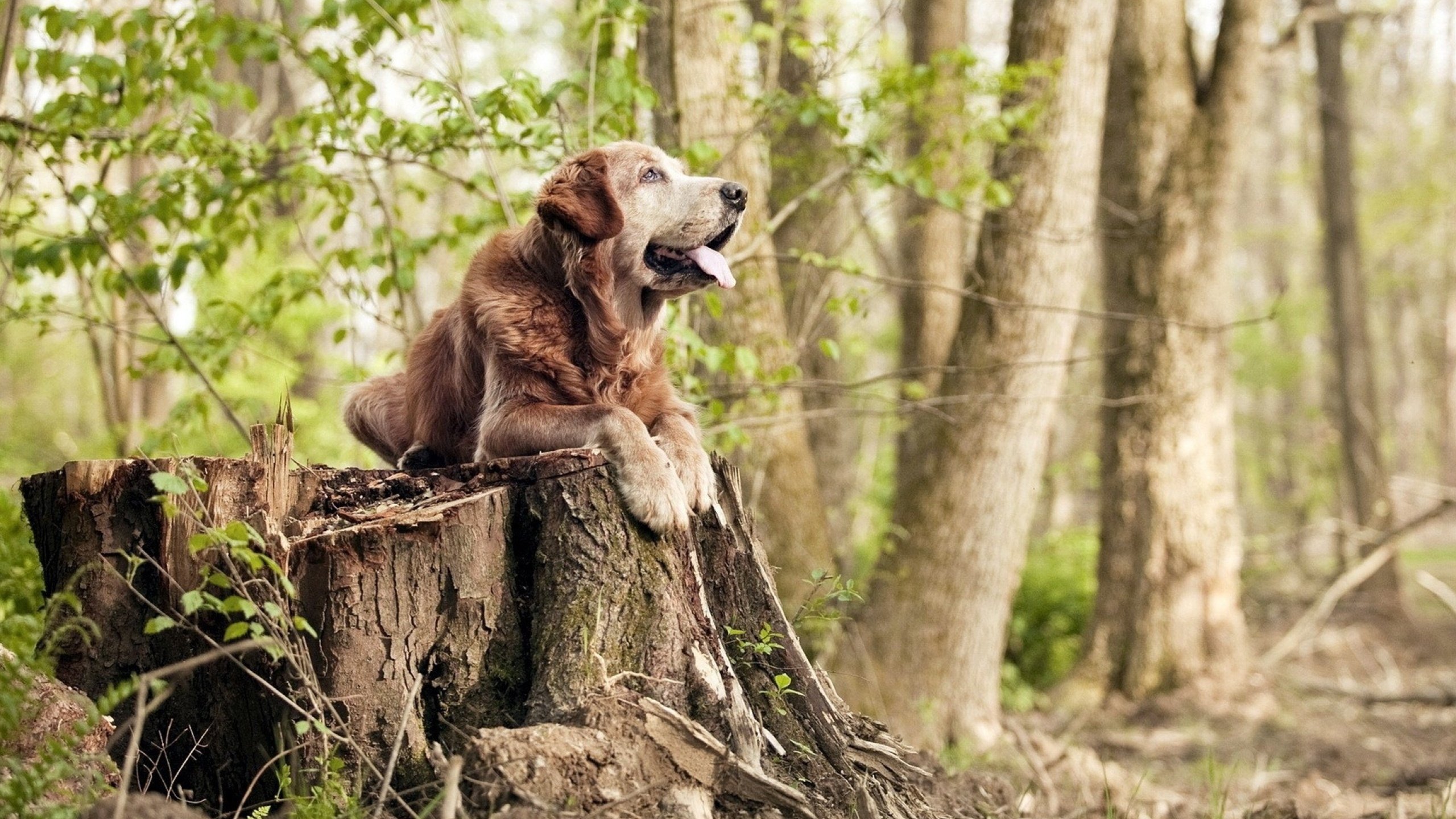 体育新闻中心承办体育行业数字转型成果展览会，体育数字化改革
