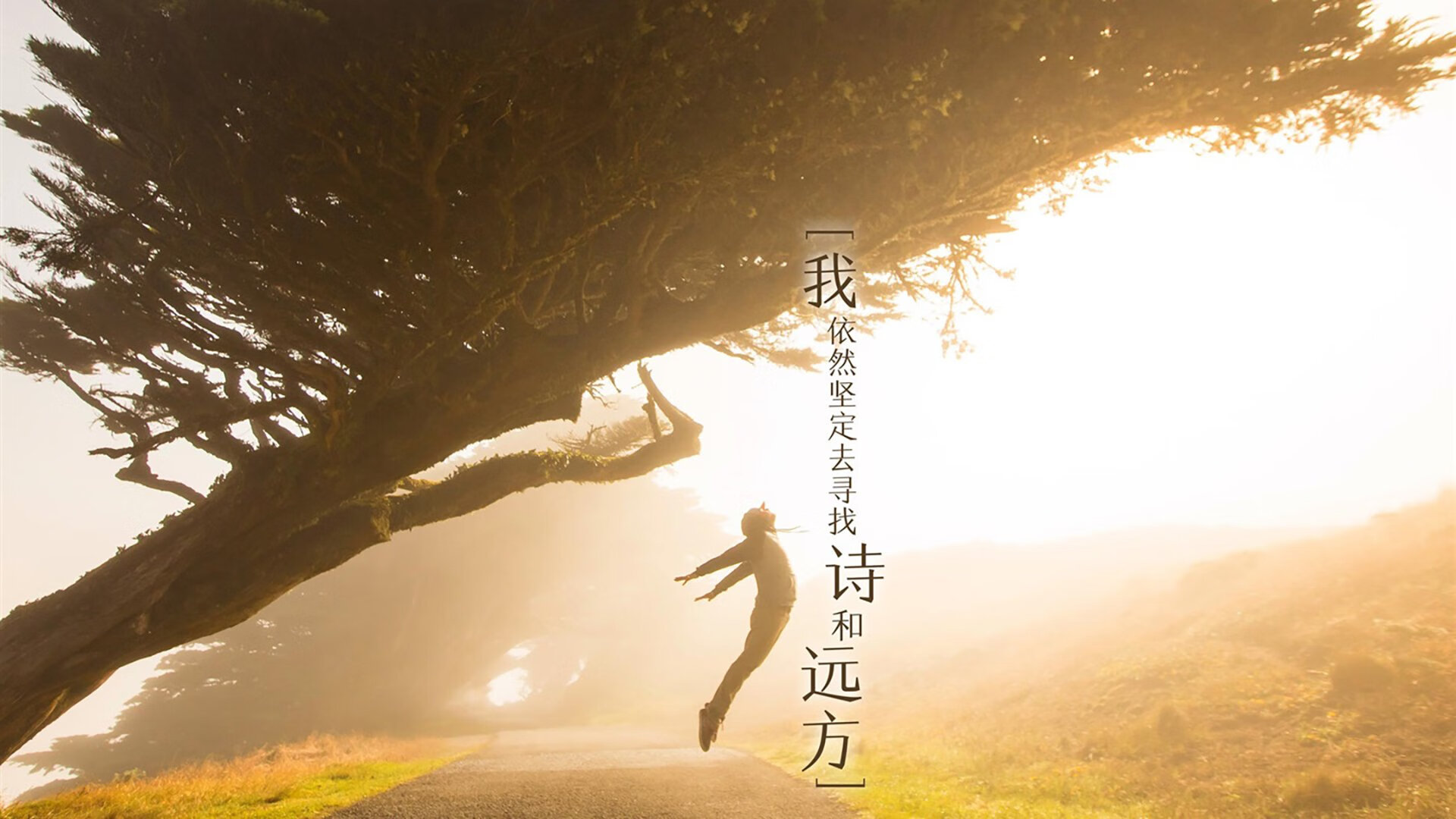 爱游戏体育APP下载-意甲超级团队：配合默契令人称奇，意甲俱乐部