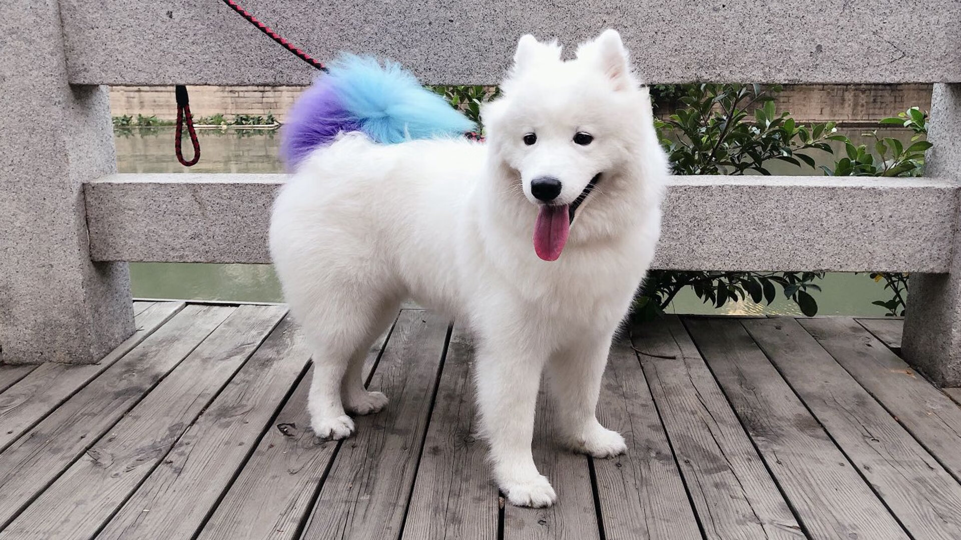 爱游戏中国官方网站平台-法甲新星崛起：未来之星耀眼全场，未来之星即将诞生