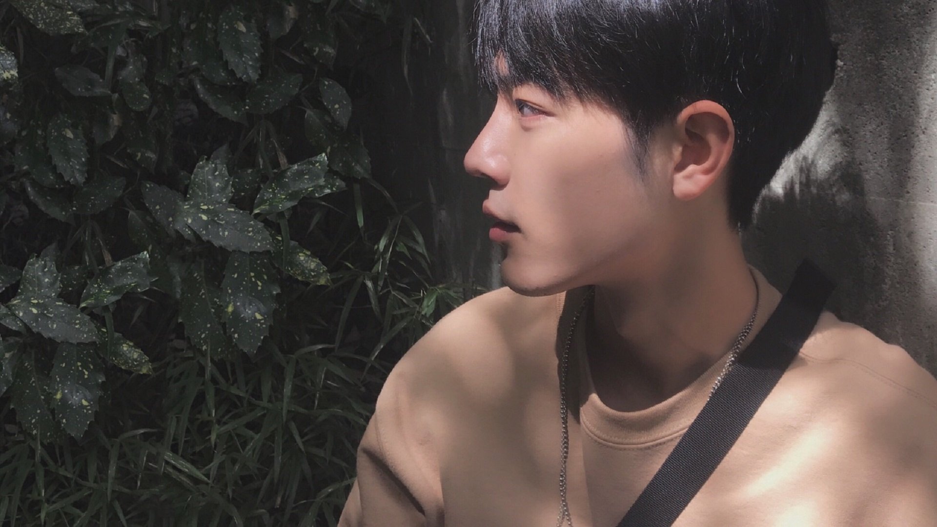 澳大利亚橄榄球的复兴计划，如何走向国际舞台巅峰？，澳大利亚橄榄球比赛规则