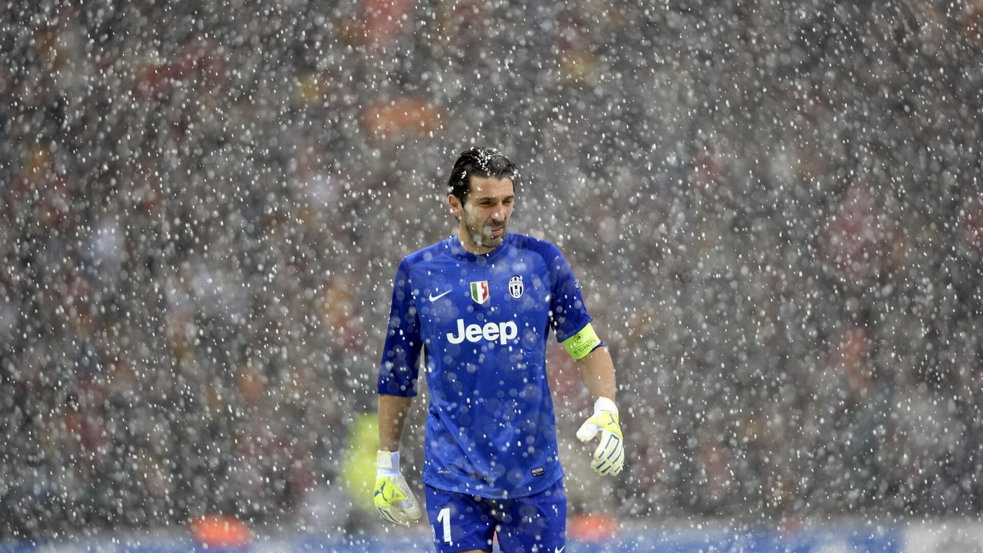 福特：从新西兰橄榄球新星到全黑队的重要成员，新西兰橄榄球队服